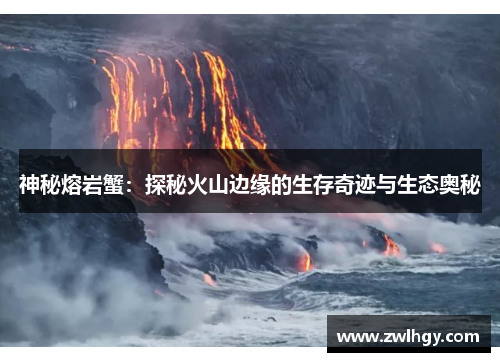 神秘熔岩蟹:探秘火山边缘的生存奇迹与生态奥秘 神秘熔岩蟹:探秘火山边缘的生存奇迹与生态奥秘