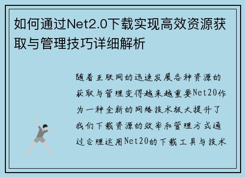 如何通过Net2.0下载实现高效资源获取与管理技巧详细解析
